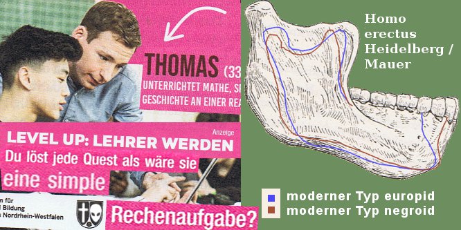 Bild: Homo erectus Unterkiefer von Heidelberg-Mauer, Vergleich mit Kiefern von Weissen, Mongo und Neger