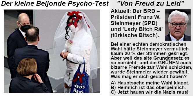 Beljonde Comedy zeigt den BRD-Bundespräsidenten Steinmeyer und die GRÜNE Delegierte Lady Bitch Rae erneut bei seiner Wahl