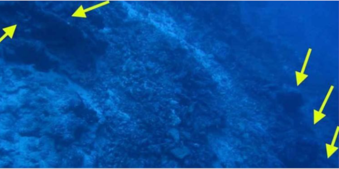 Bild: Blaue Schatten auf Foto vom Meeresgrund
