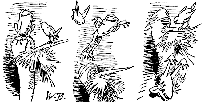 Bild: Wilhelm Busch fliegender Frosch stürzt ab