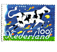 Een mooie Koien van Nederland